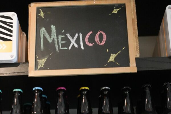 Saborea México: una cata de vinos mexicanos excepcionales - Image 3